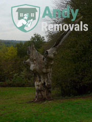 Andy Removal Keston (BR2)