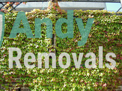 Andy Removal Kidbrooke (SE3)