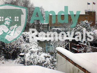 Andy Removal Leyton (E10, E15)
