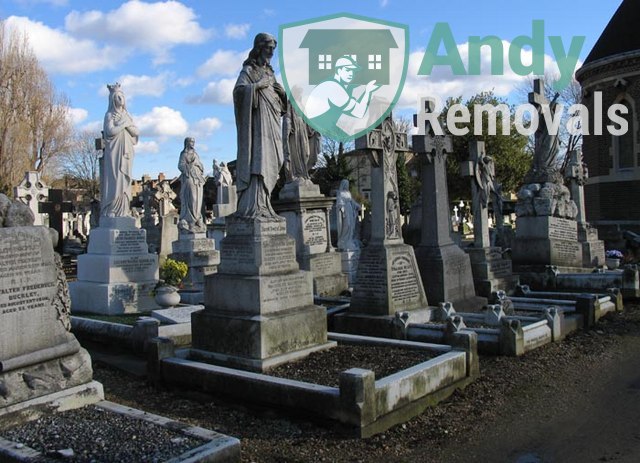 Andy Removal Leytonstone (E11)