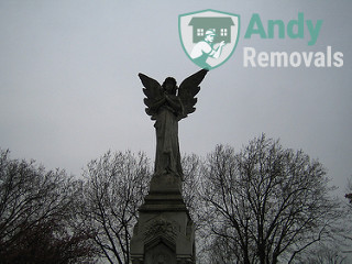 Andy Removal Poplar (E14)