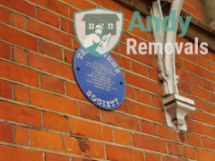Andy Removal Purley (CR8)