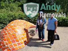 Andy Removal Shirley (CR0)