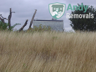Andy Removal Tolworth (KT5, KT6)