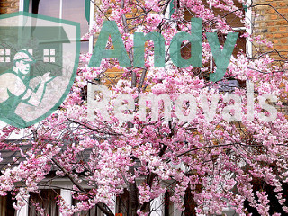 Andy Removal Wandsworth (SW18)