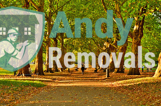 Andy Removal Woodlands (TW7)